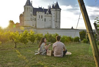 Pique-nique devant Château - Bords de Loire