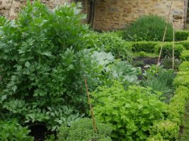 jardin-grange-de-beauvais